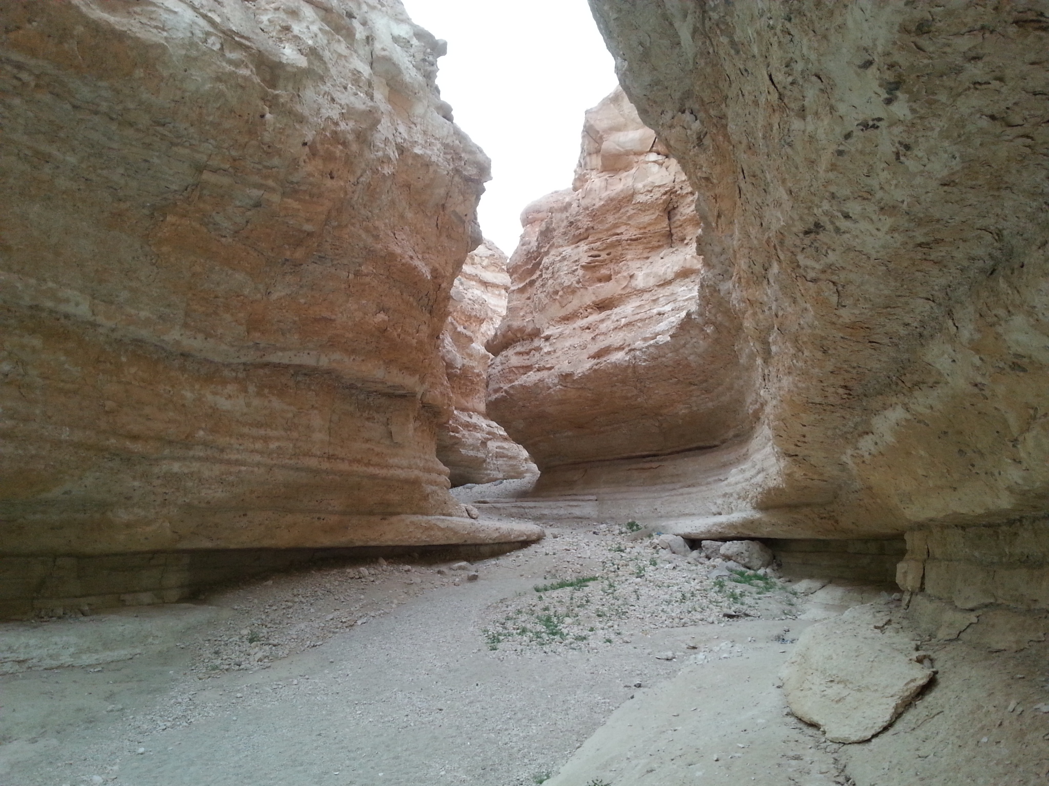 Canyon bei Tamerza, Tunesien