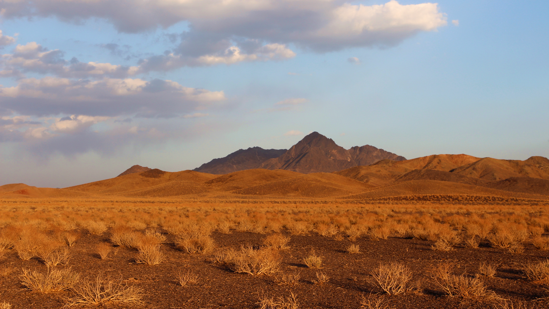 Immer wieder finden wir traumhafte Übernachtungsplätze in der Wüste