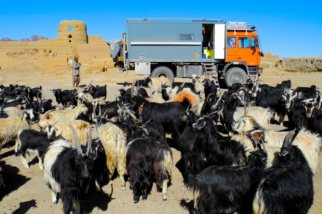 Mehrere Tage einsam mit 500 Ziegen und einem Hirten an einer Räuberburg aus Lehm. Iran, Matin Abod