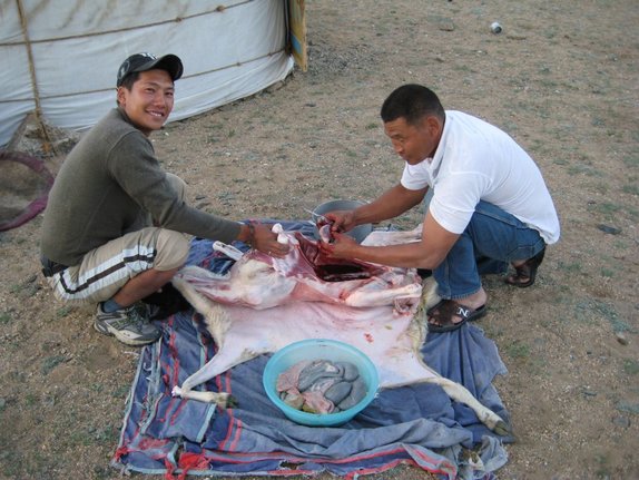 Fleisch für mehrere Wochen, Mongolei