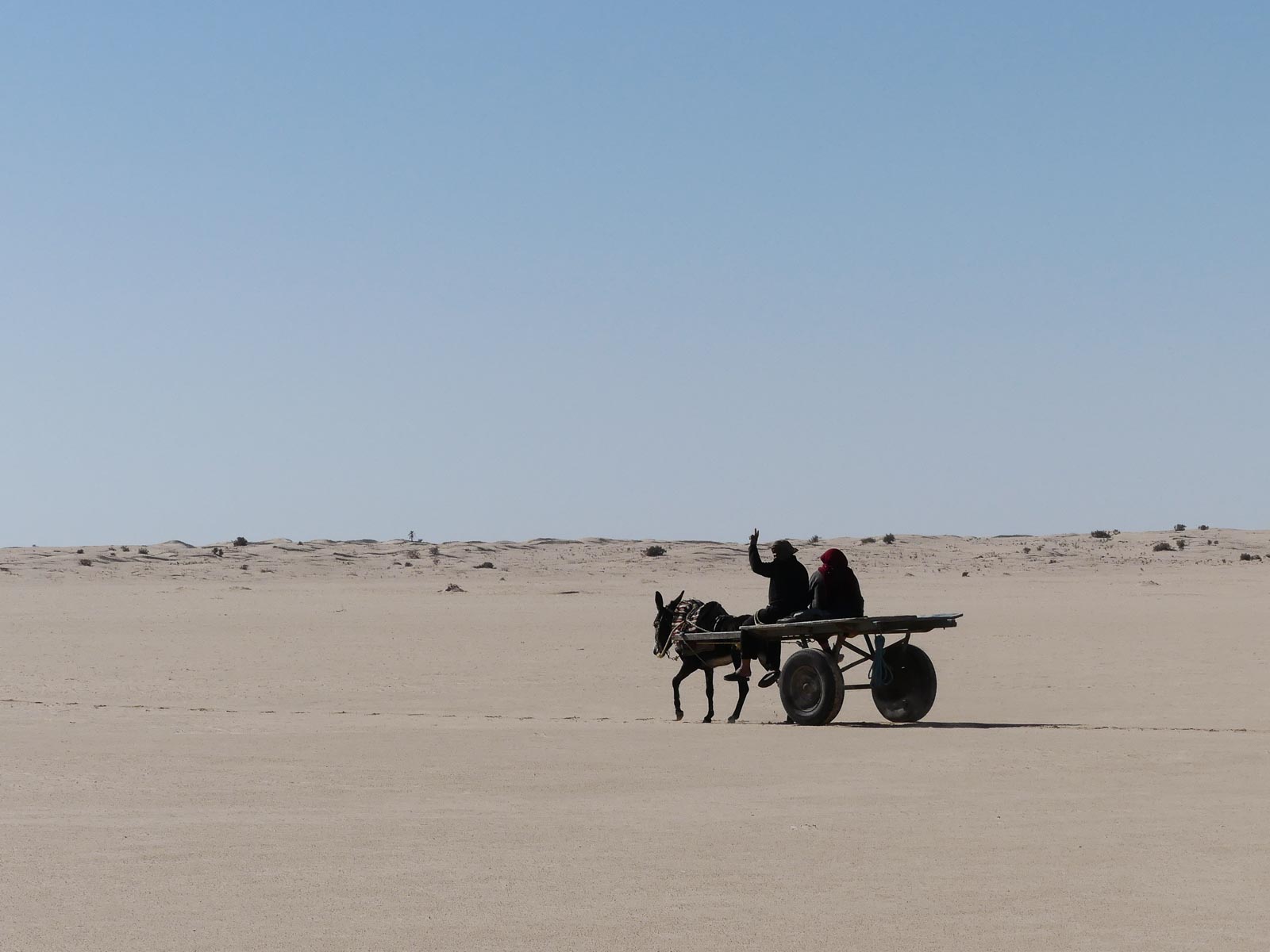 Eselskarren, Tunesien Sahara Extrem
