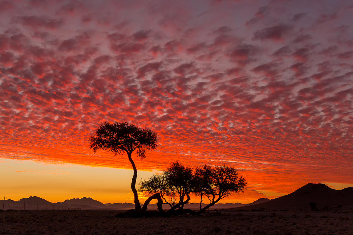 Flammender Abendhimmel über der Namib Naukluft, Foto: Constanze Kühnel, Mantoco