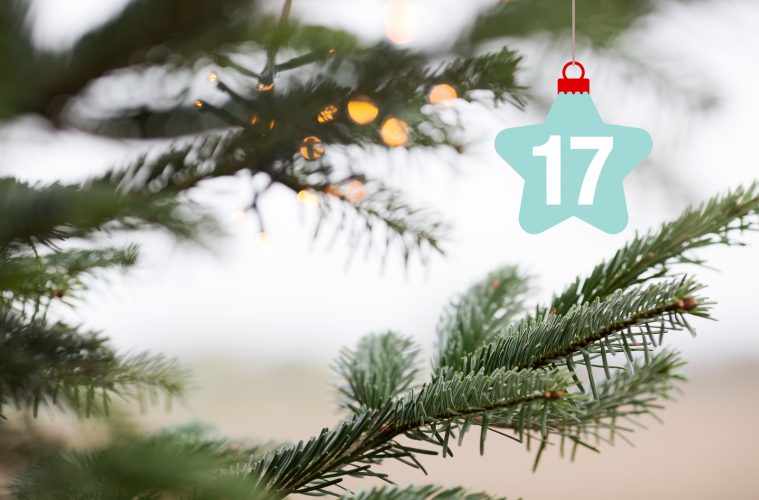 Offroad-Adventskalender Türchen #17 - MATSCH&PISTE