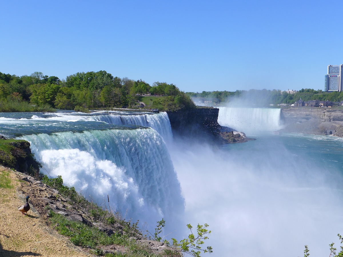 Beeindruckendes Getöse - die Niagara- und die American Falls.
