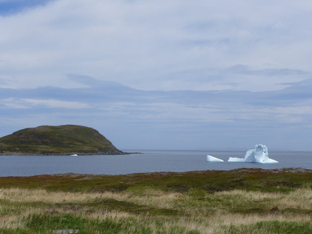 Jetzt im Frühjahr sind die Eisberge an der Küste zum Greifen nah.