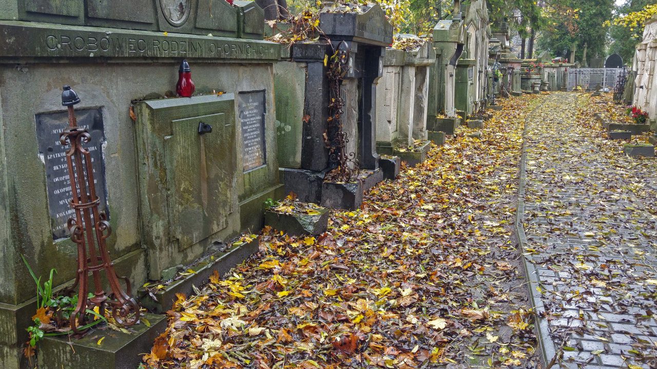 Europas wilder Osten - Lytschakiwski-Friedhof, einer der ältesten in Europa, angelegt 1787 - und schon wieder vermischt sich die ukrainisch-deutsch-polnisch-jüdische Geschichte.