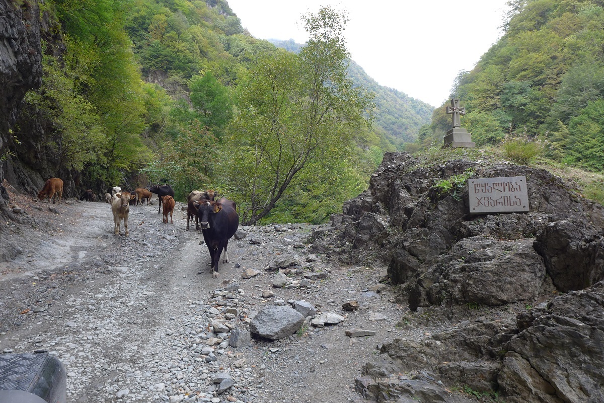 Offroad in Georgien - …mit "Gegenverkehr" auf der Bergstrecke.