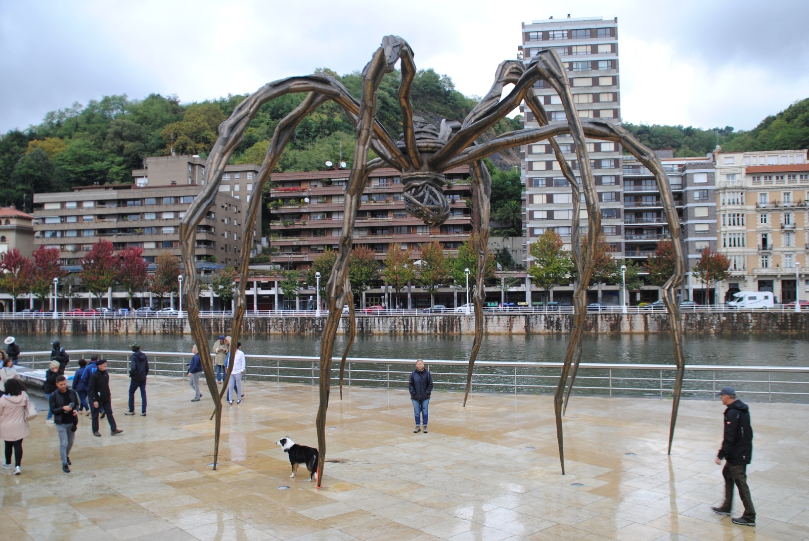 Die Spinne ist genauso ein Wahrzeichen des Museums...