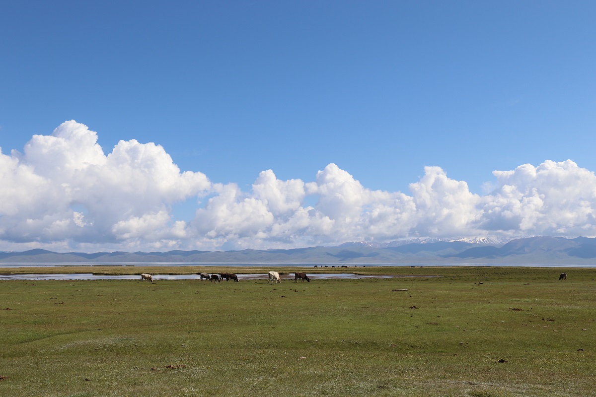 Kirgisien - Der Songköl-See.