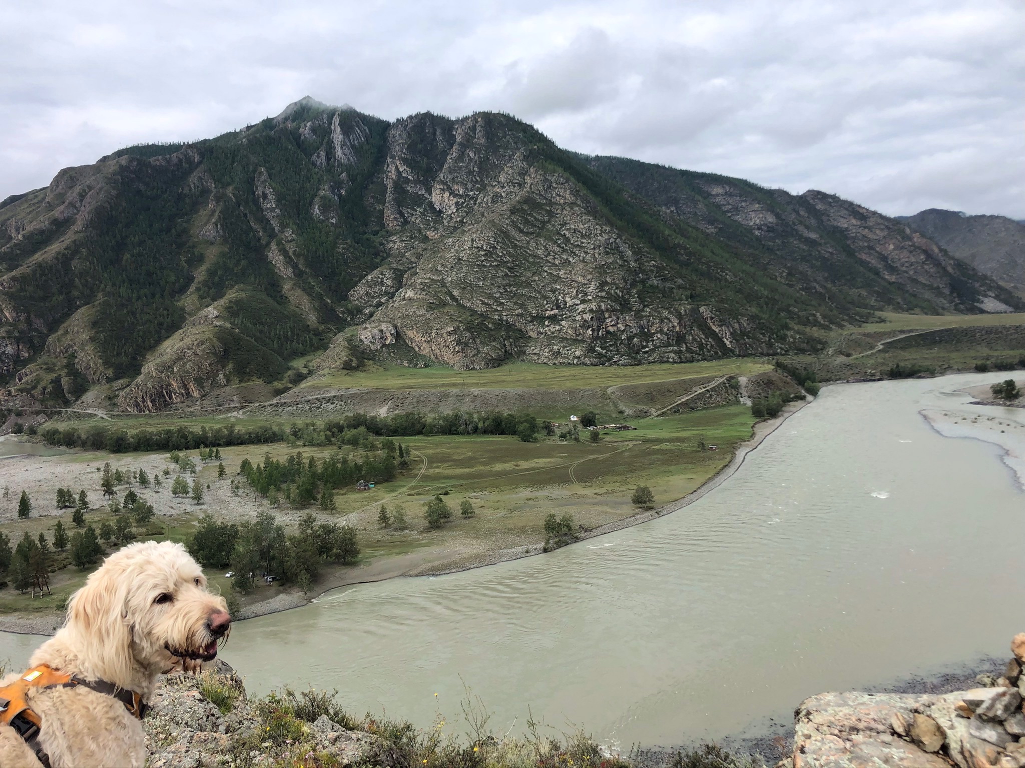 Offroad-Reise mit Hund Russland, Mongolei und Zentralasien