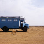 Der Reisehund Sidi mit dem Reisewagen Frau Scherer.