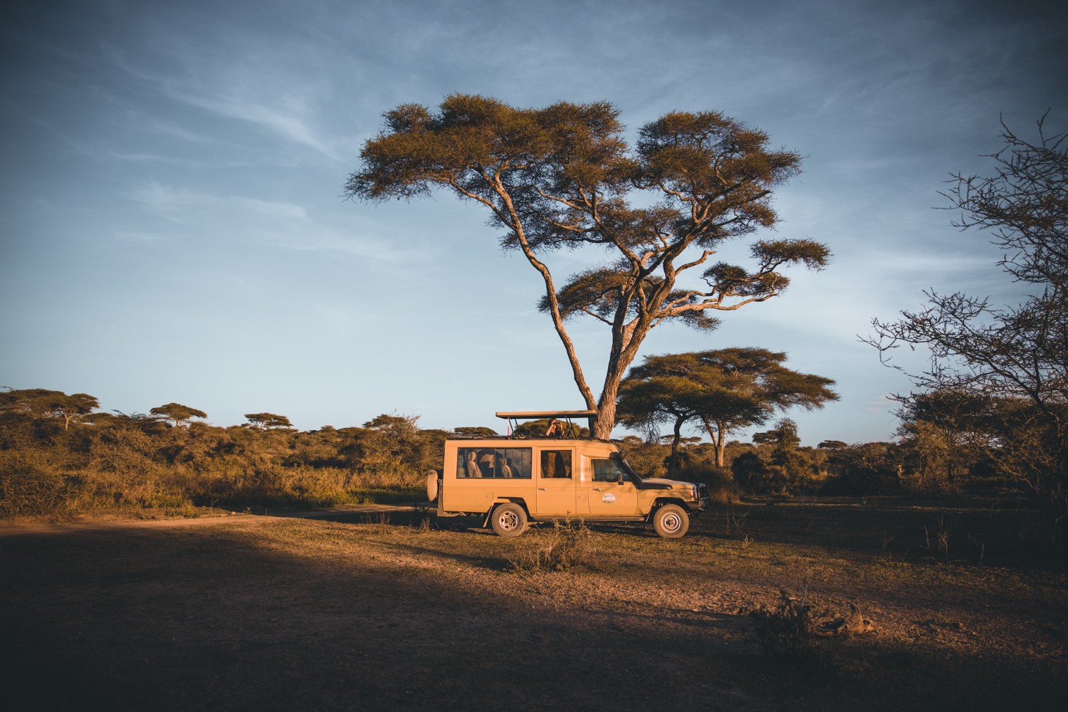 Mit dem Toyota durch die Serengeti