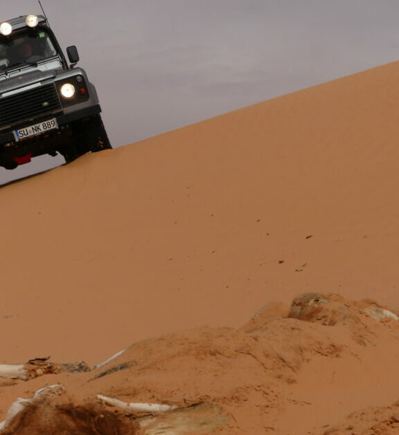 Navigation in der Wüste