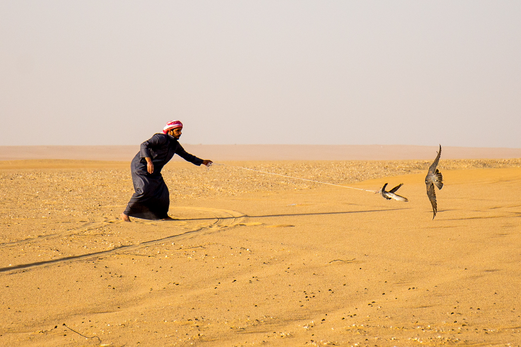 Falkner in der Wüste beim Training