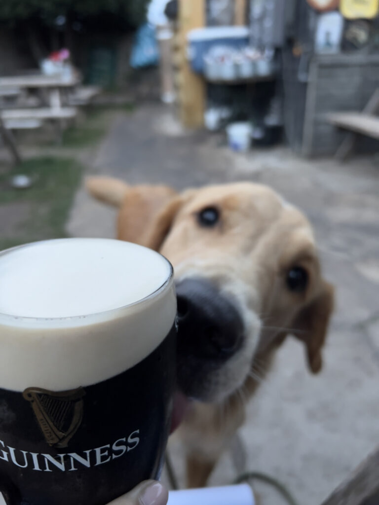 Guinness mag Guinness.
