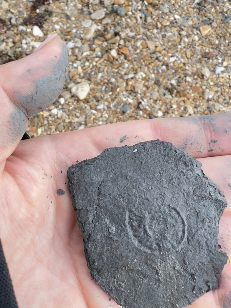 Fossilienfund an Englands Südküste.