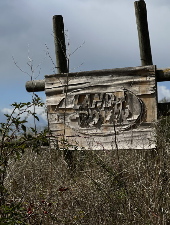 Willkommen bei der Landy con classic 2022.