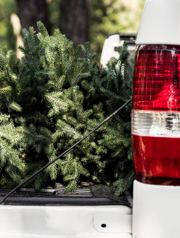 Pick-up Klappe Weihnachtsbaum Mehari Nikolausi Event