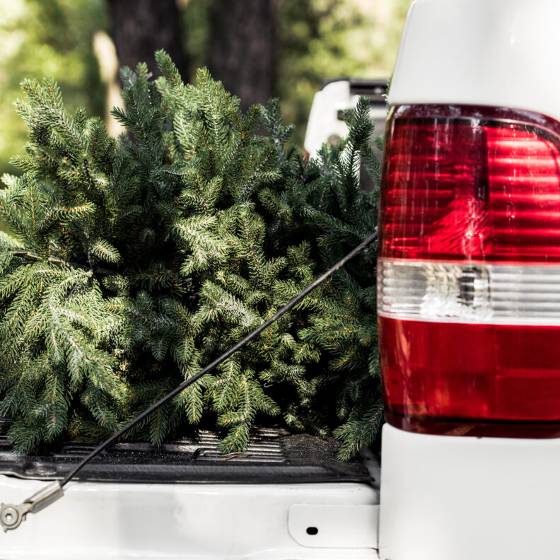 Pick-up Klappe Weihnachtsbaum Mehari Nikolausi Event