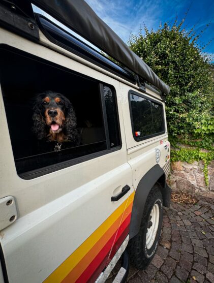 Chloé über Krankheiten auf Reisen bei Hunden wie Leishmaniose