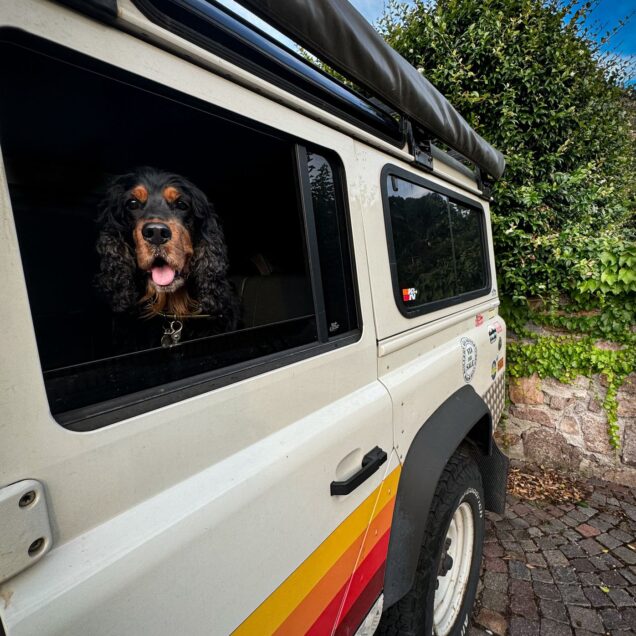 Chloé über Krankheiten auf Reisen bei Hunden wie Leishmaniose