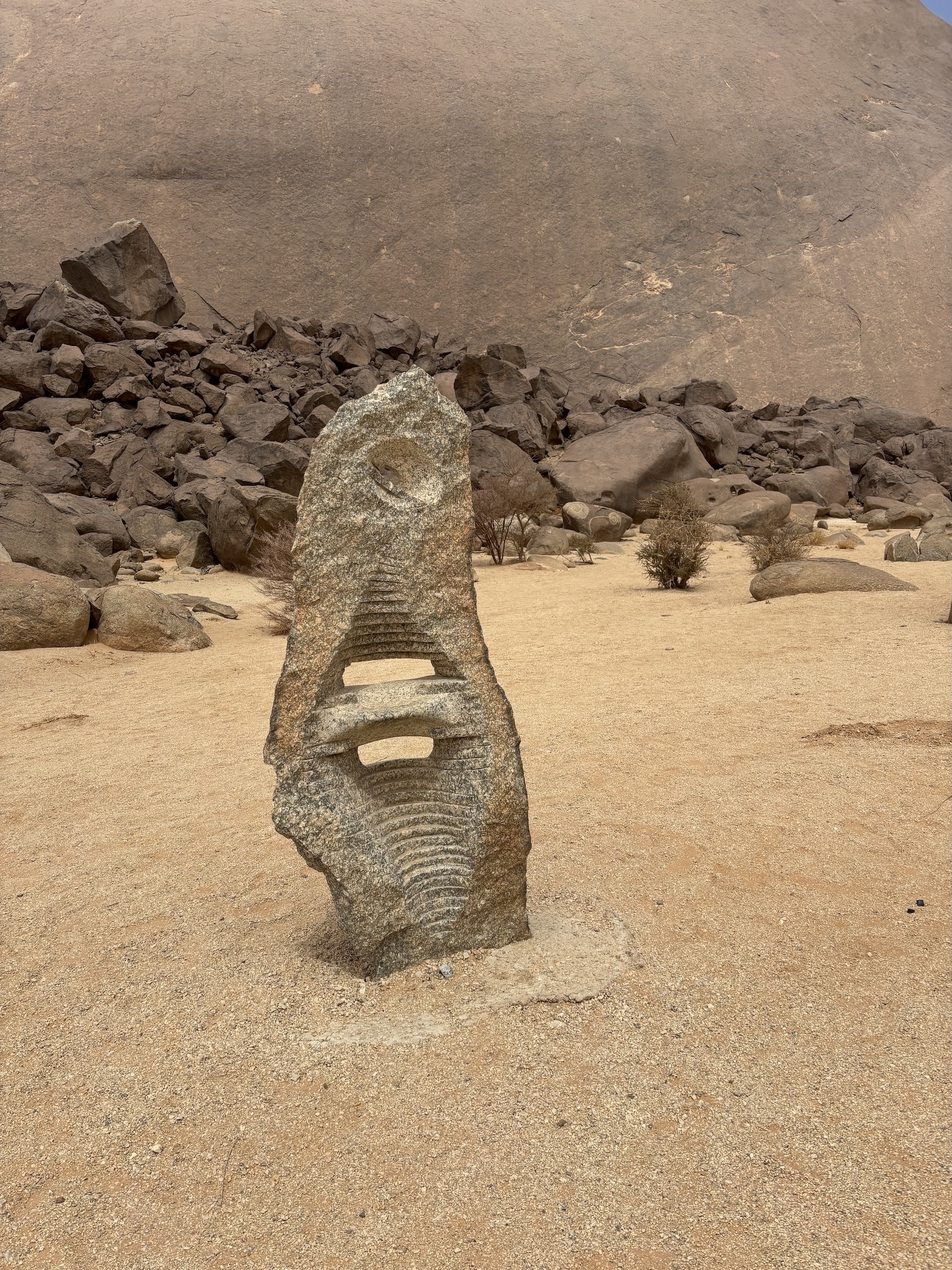 Eine Reise von Deutschland nach Mauretanien1