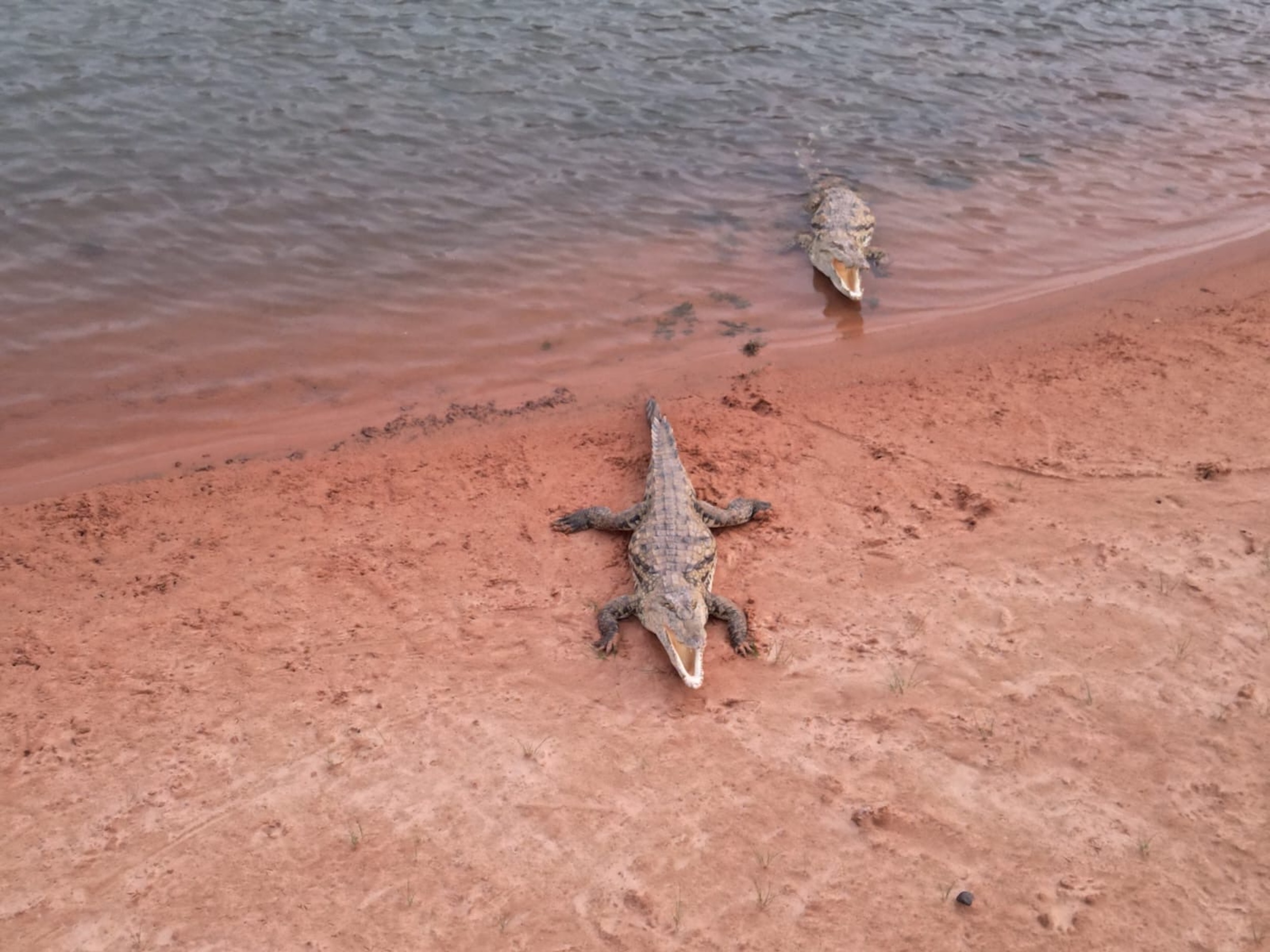 Eine Reise von Deutschland nach Mauretanien