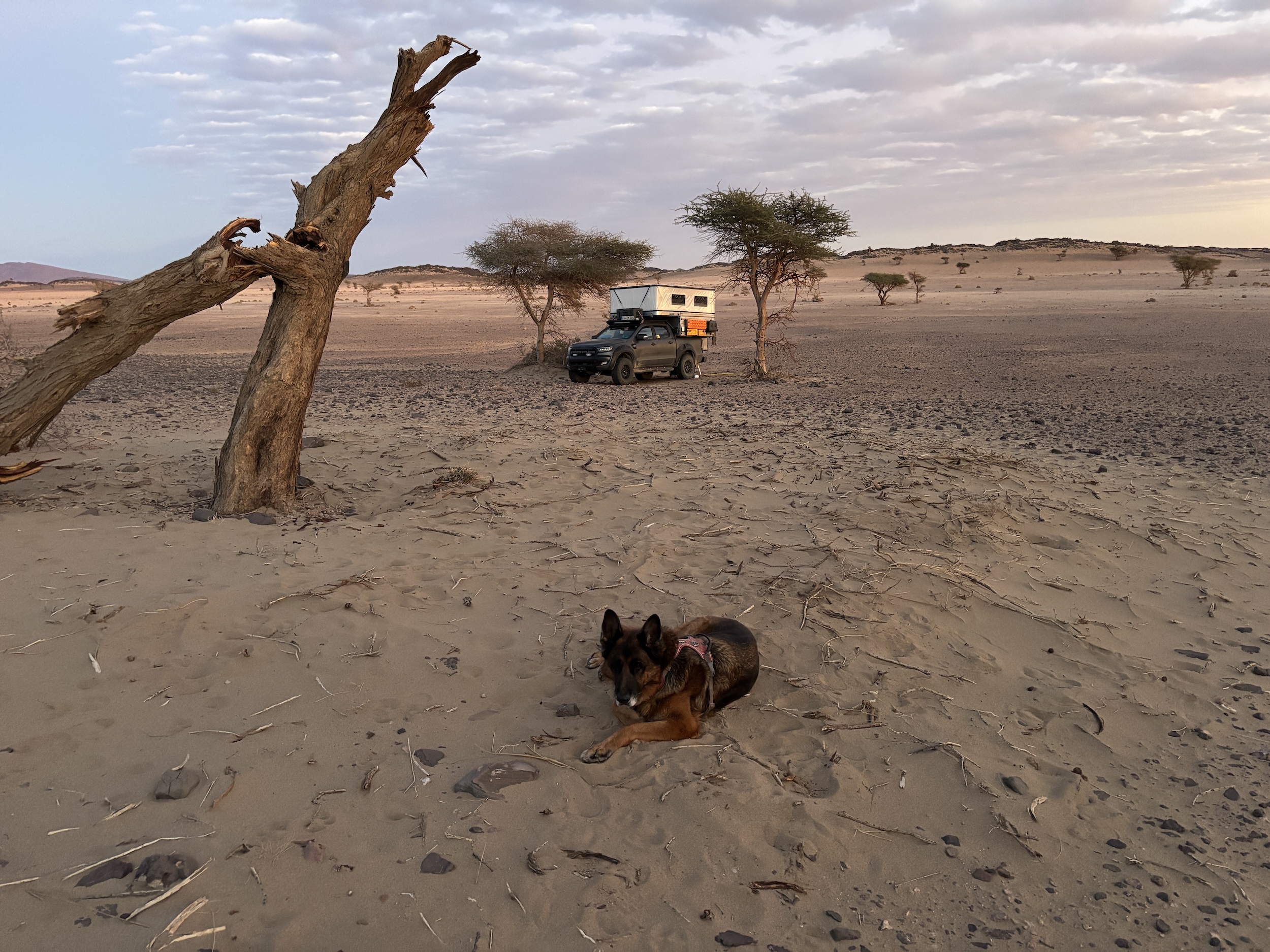 Thomas Hofmann - The Beast Ranger mit Four-Wheel-Camper-Kabine