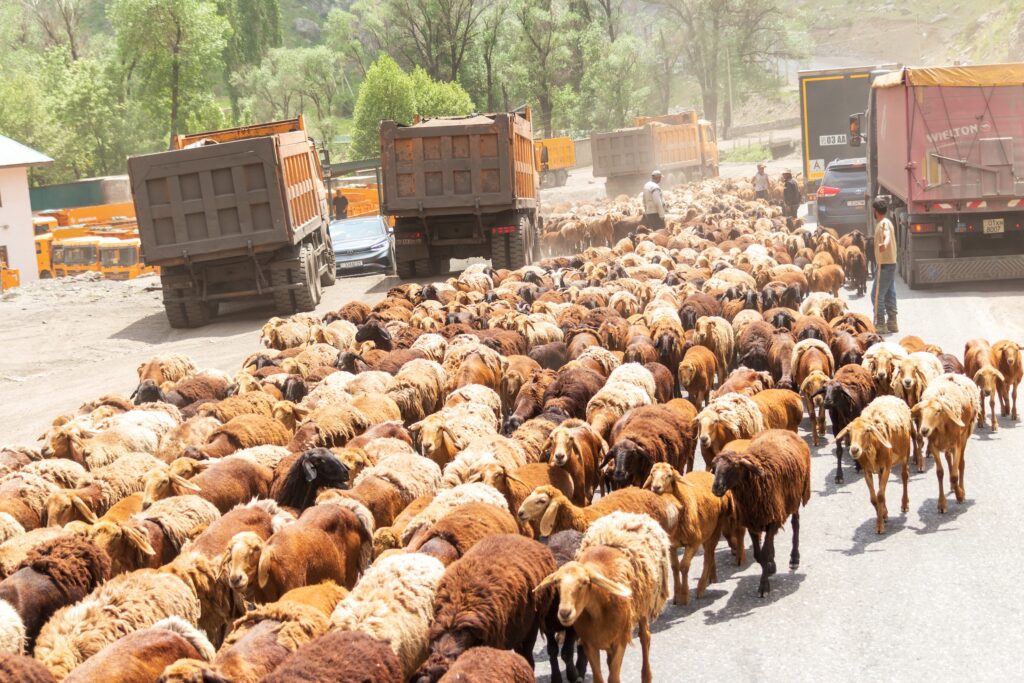 Tadschikistan Normale Situation auf den Autobahnen Tadschikistans