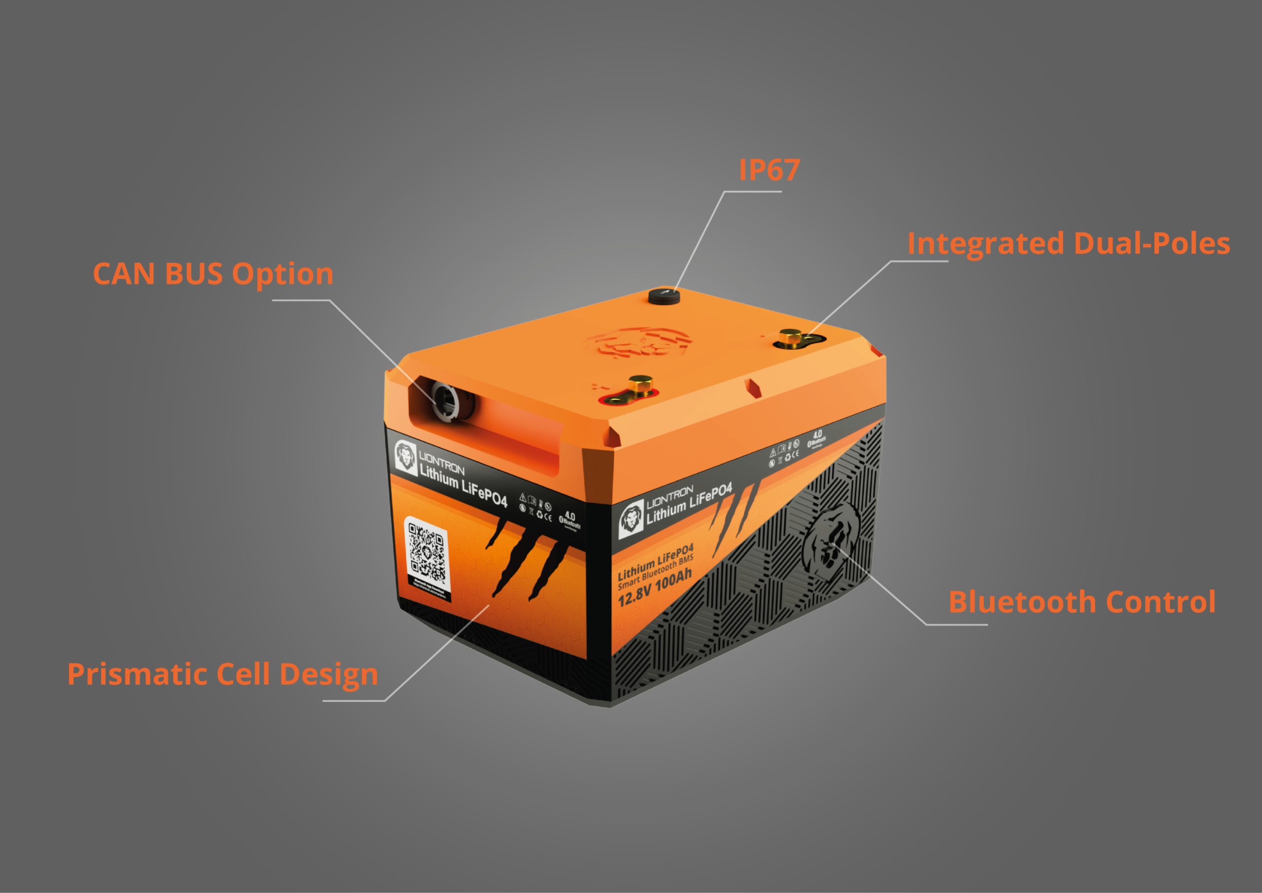 Liontron 100AH Lithium-Eisenphosphat Batterie