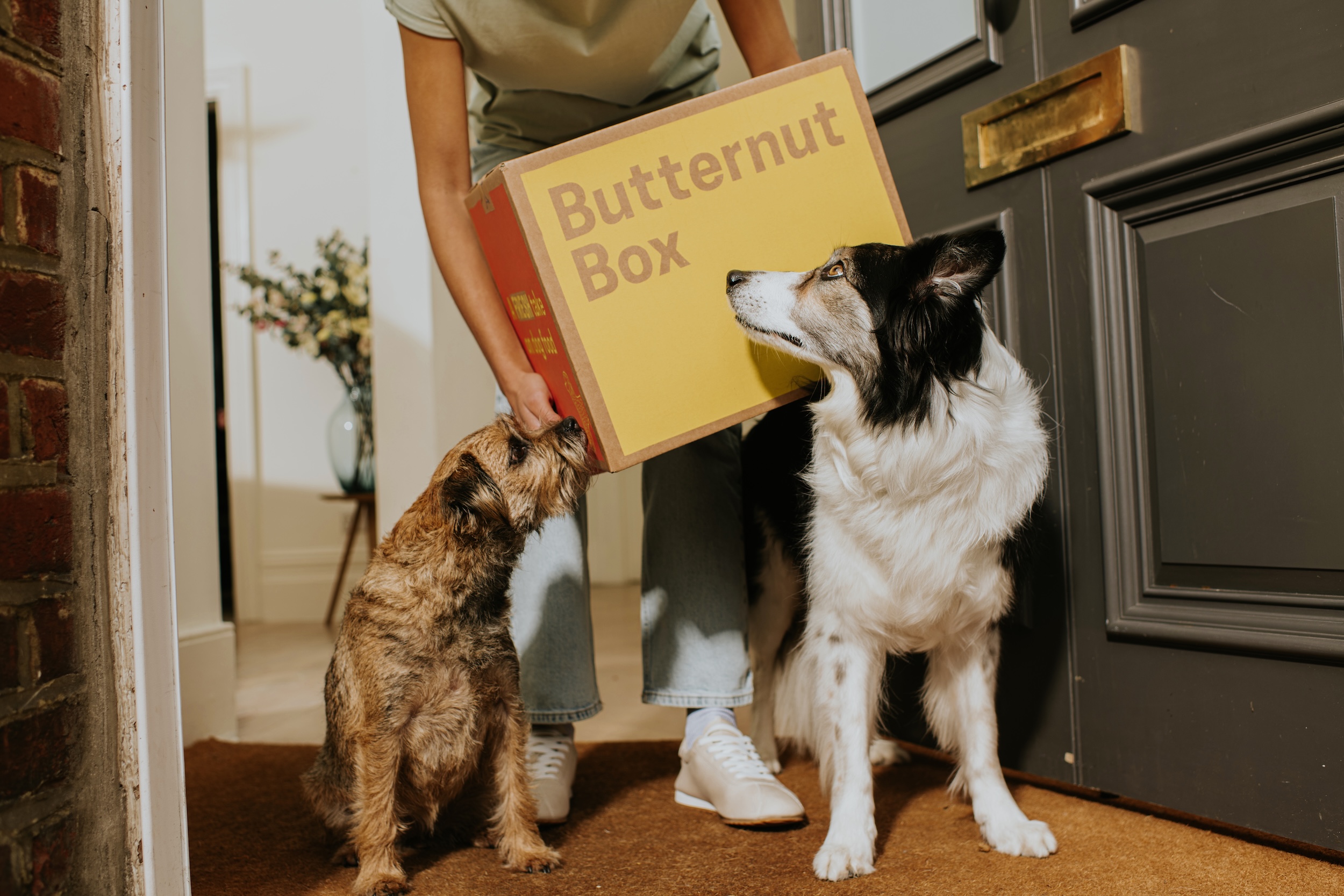Butternut Box - Neue Aussteller Abenteuer&Allrad 2026