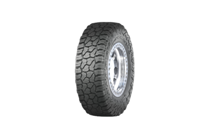 Falken Wildpeak
