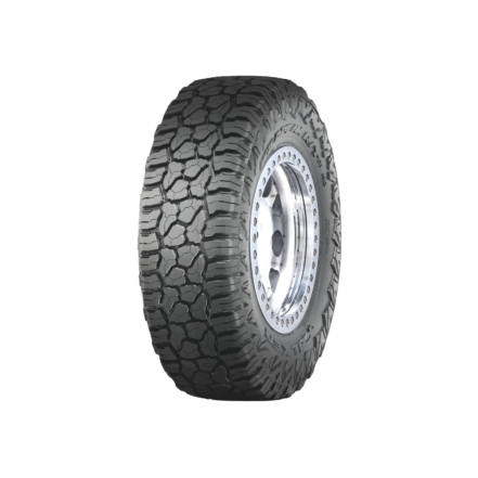 Falken Wildpeak