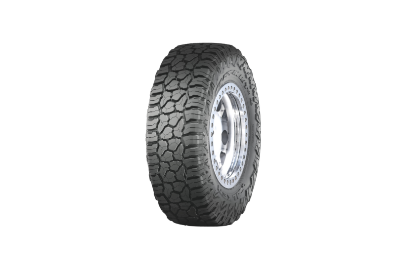 Falken Wildpeak