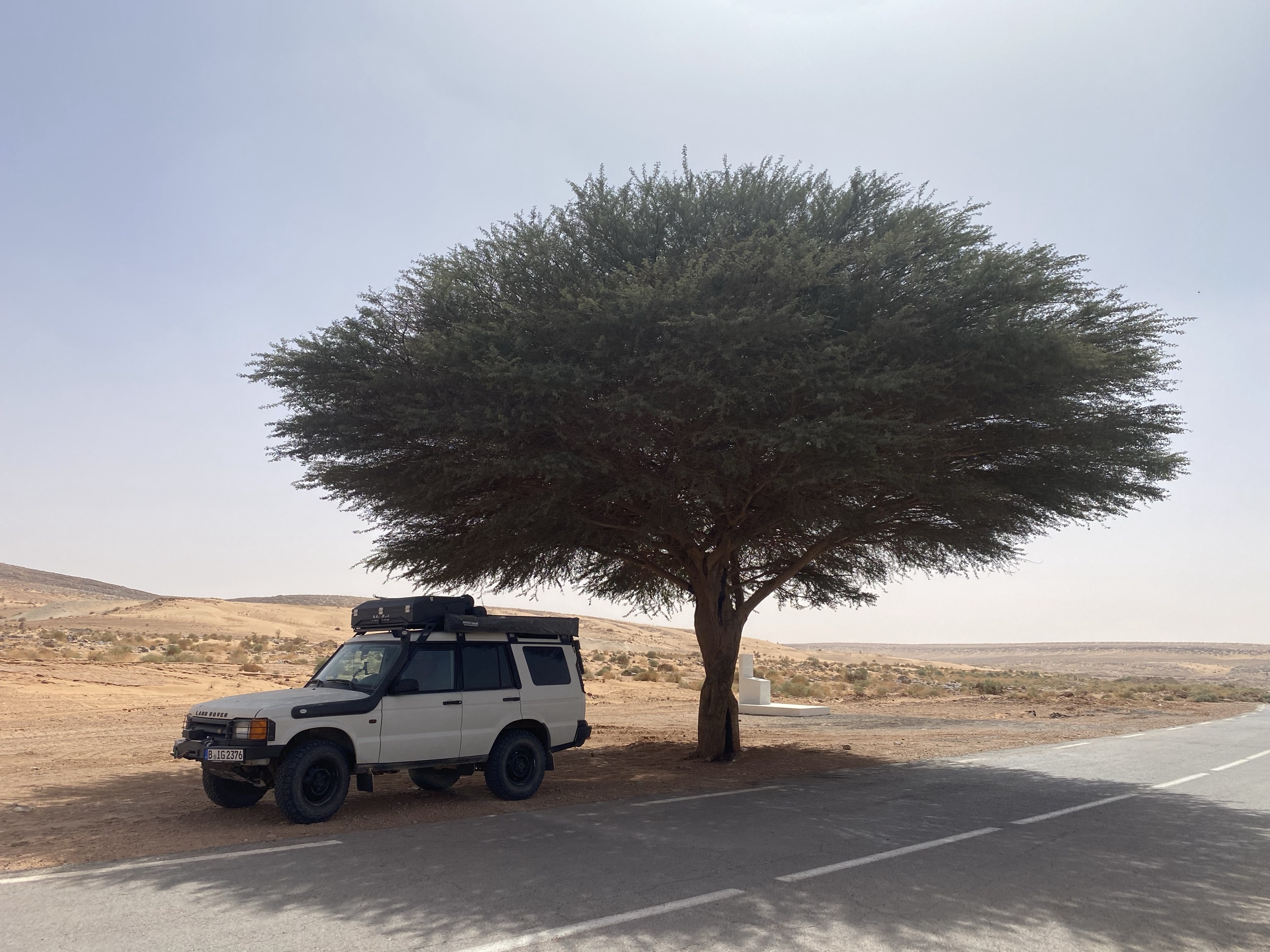 Algerien: das Tal von Taghit