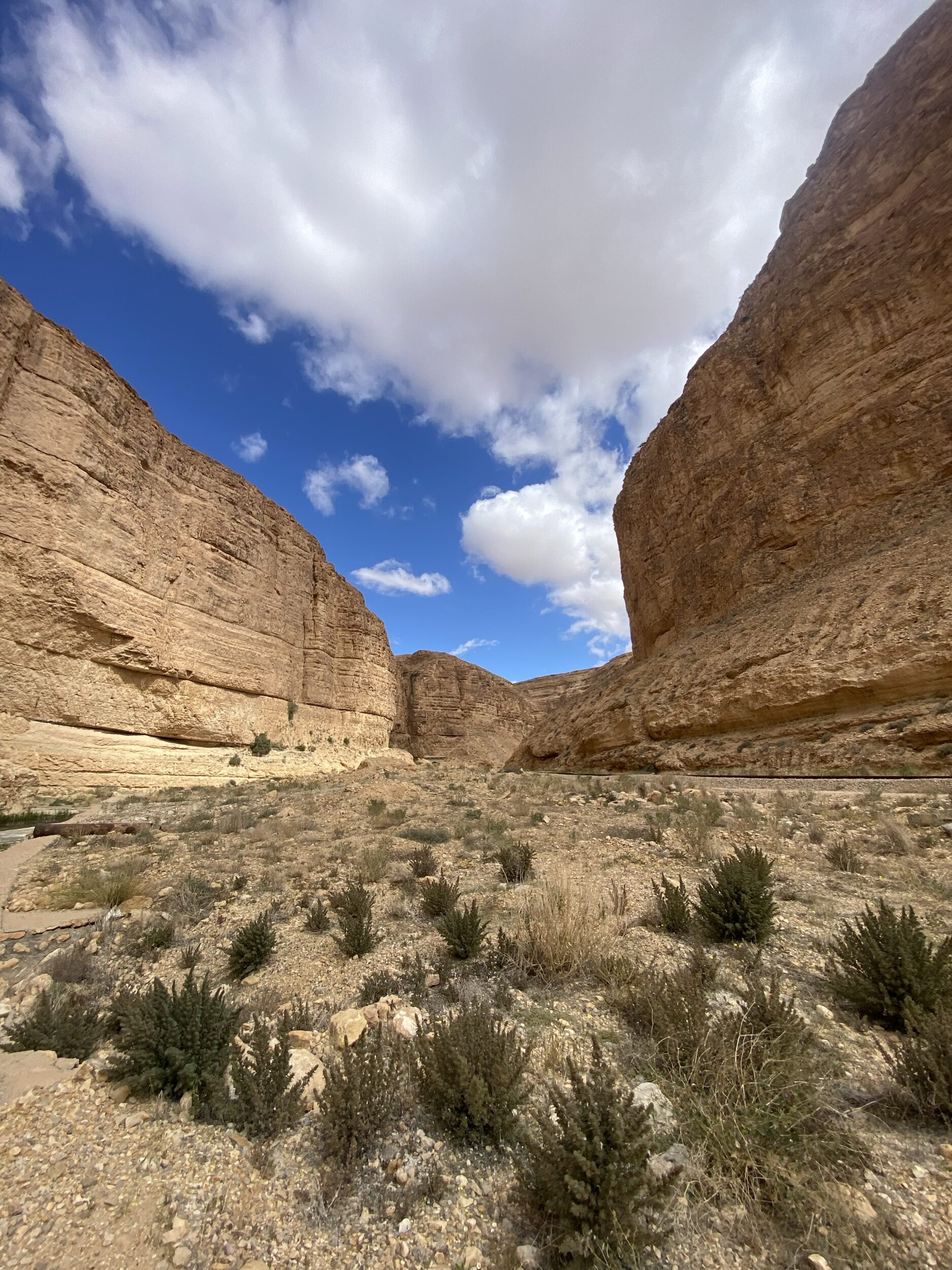 Die Schlucht (Gorges)