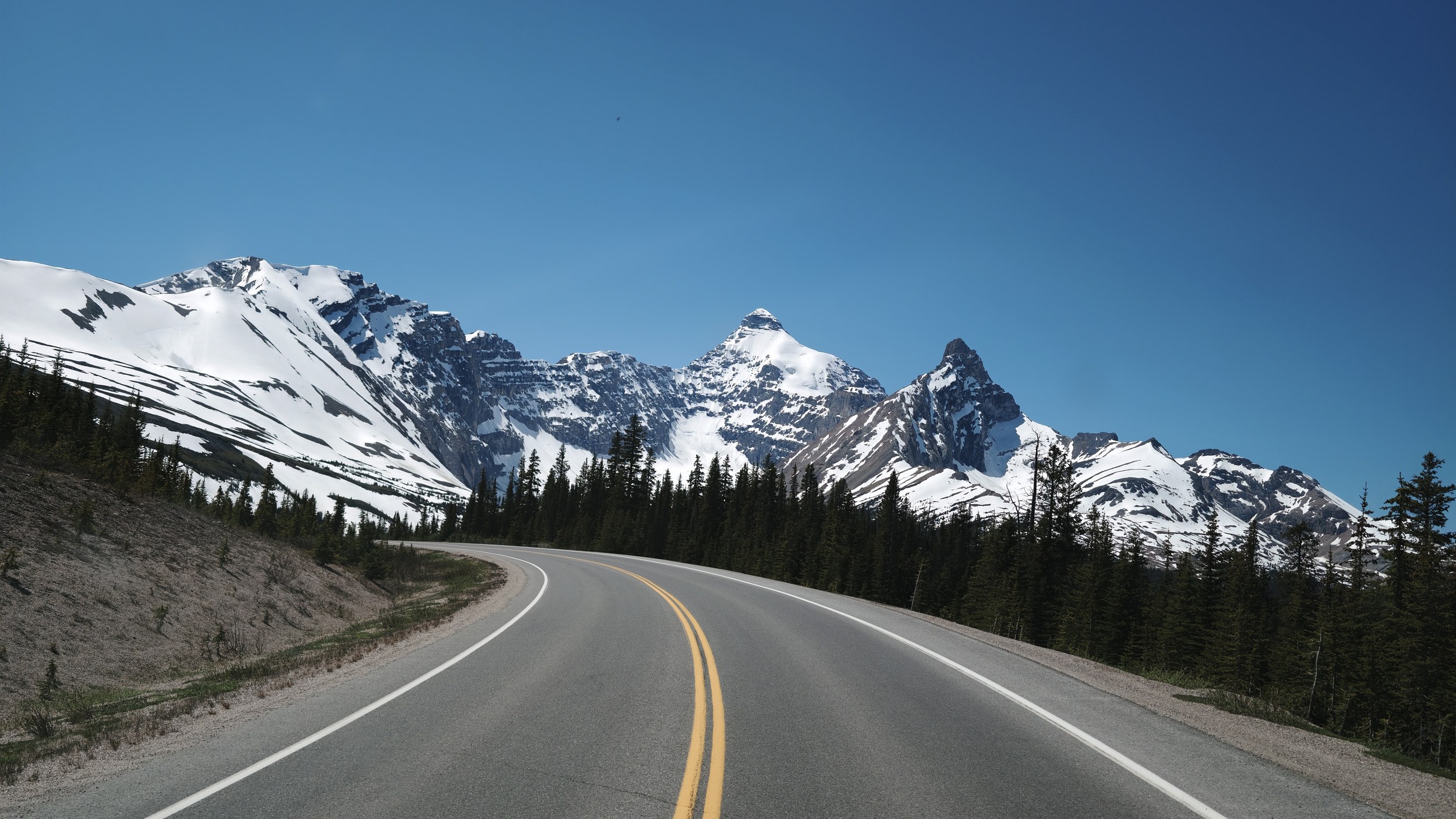 Unterwegs auf dem legendären Icefields Parkway.