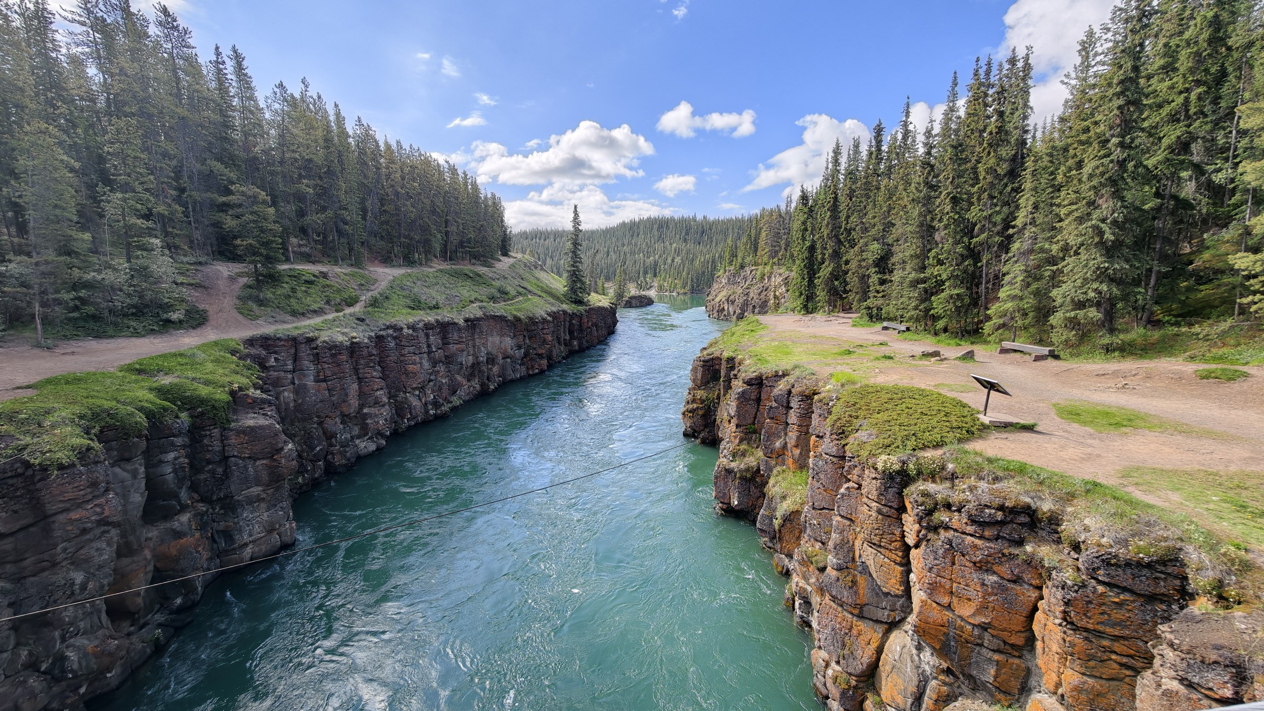 Am Yukon River bei Whitehorse.